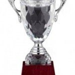 Trofee Cupe Medalii personalizate
